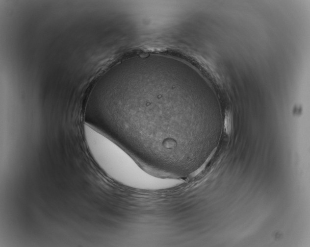 X0000102861444200808251215