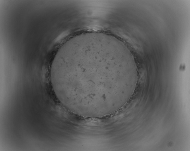 X0000102861446200808251215