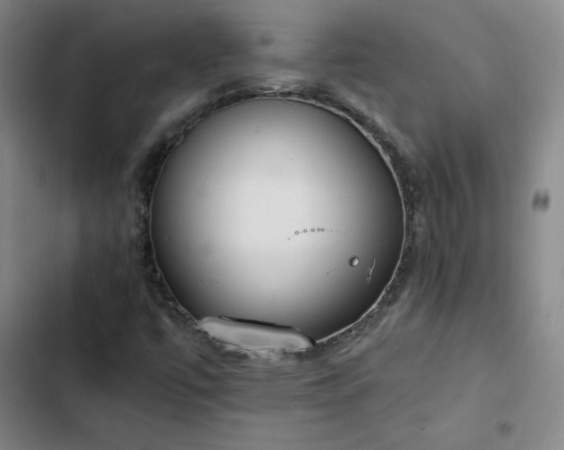 X0000102861447200808251215