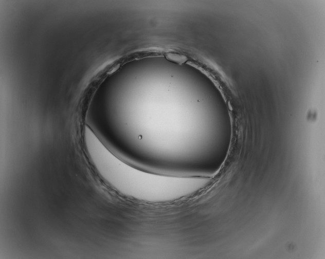 X0000102861448200808251215