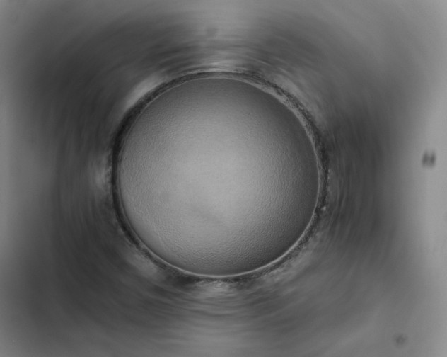 X0000102861450200808251215