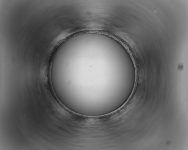 X0000102861451200808251215