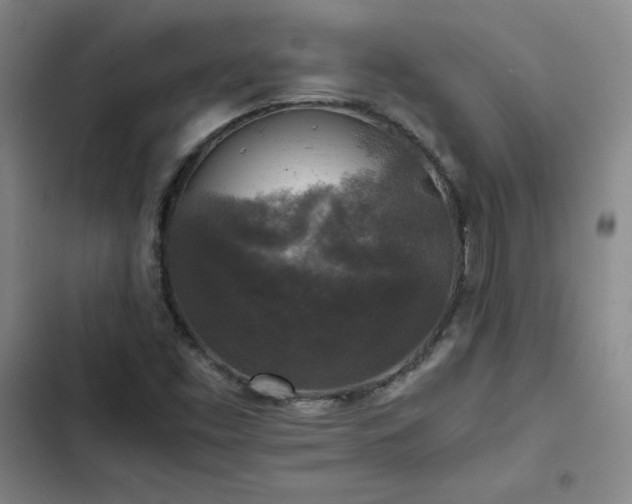 X0000102861453200808251215