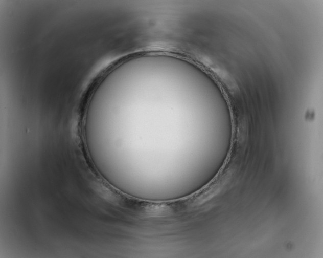 X0000102861454200808251215