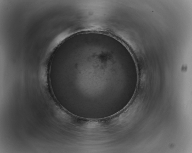 X0000102861455200808251215