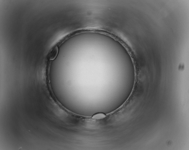 X0000102861456200808251215