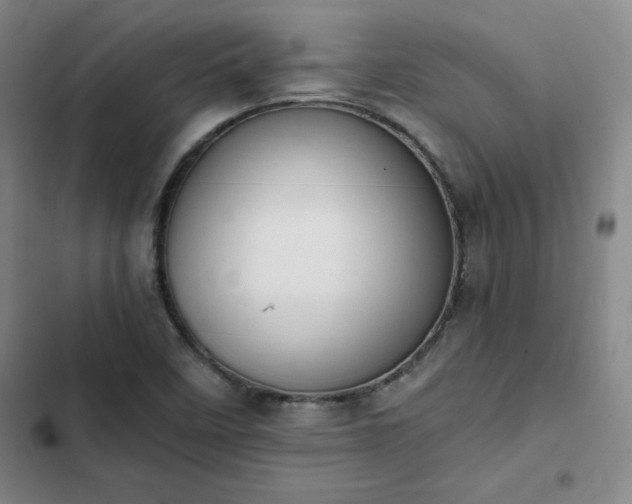 X0000102861458200808251214