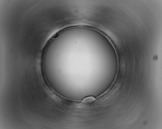 X0000102861460200808251214