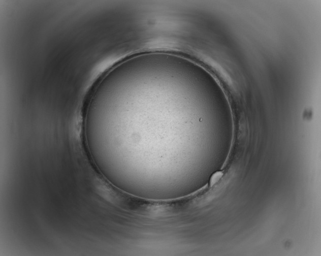 X0000102861461200808251214