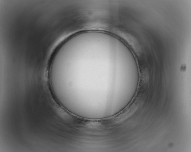 X0000102861462200808251214