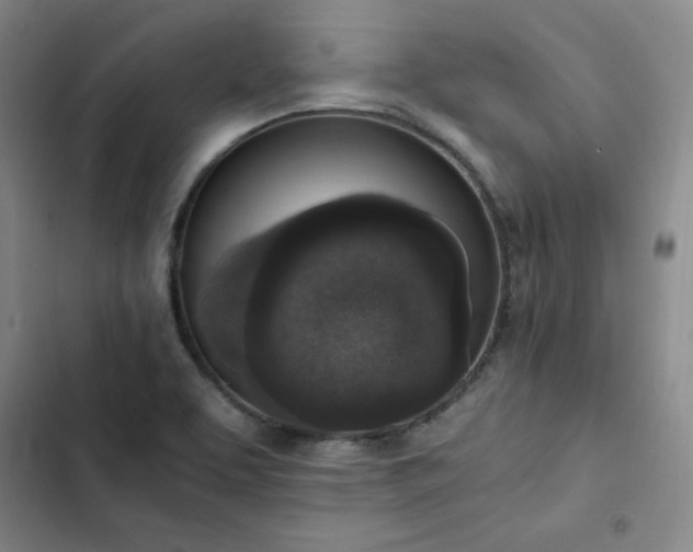 X0000102861463200808251214