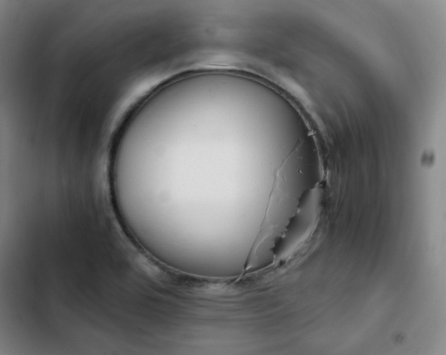 X0000102861464200808251214