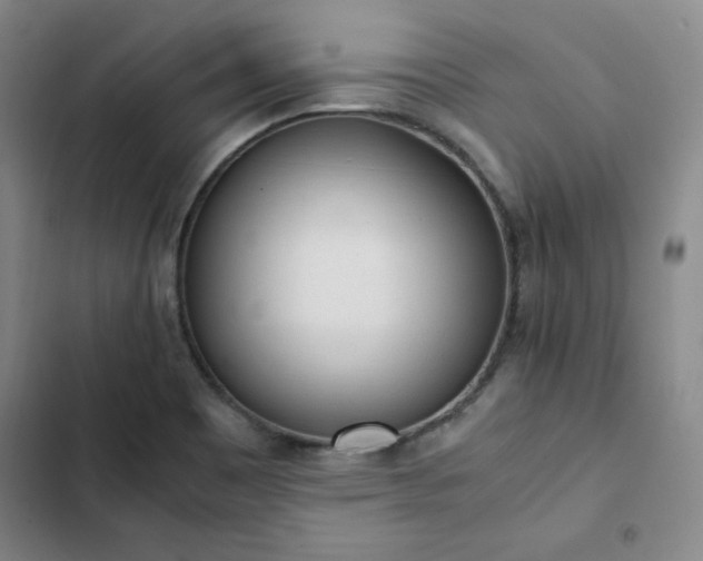 X0000102861465200808251214