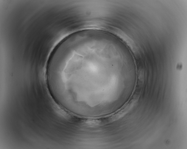 X0000102861466200808251214