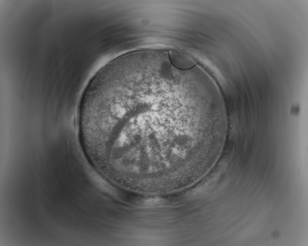 X0000102861467200808251214