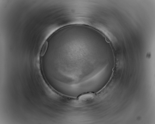 X0000102861468200808251214