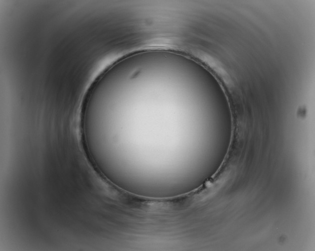 X0000102861469200808251214