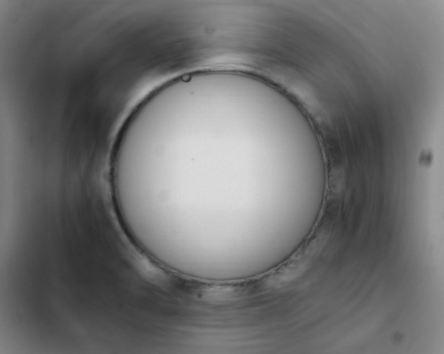 X0000102861470200808251214