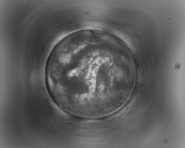 X0000102861471200808251214