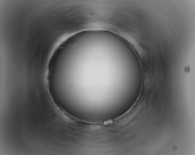 X0000102861472200808251214