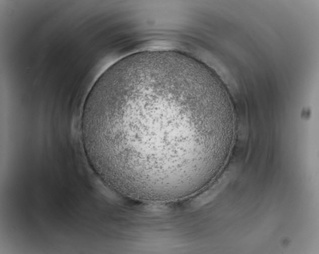 X0000102861473200808251214