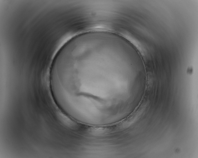 X0000102861474200808251214