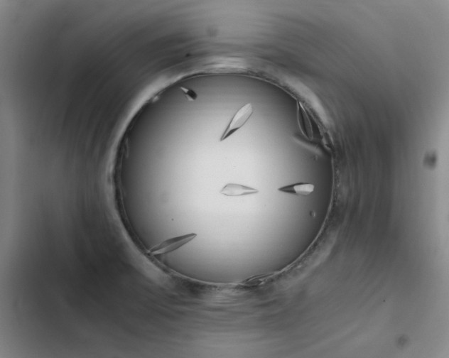 X0000102861475200808251214