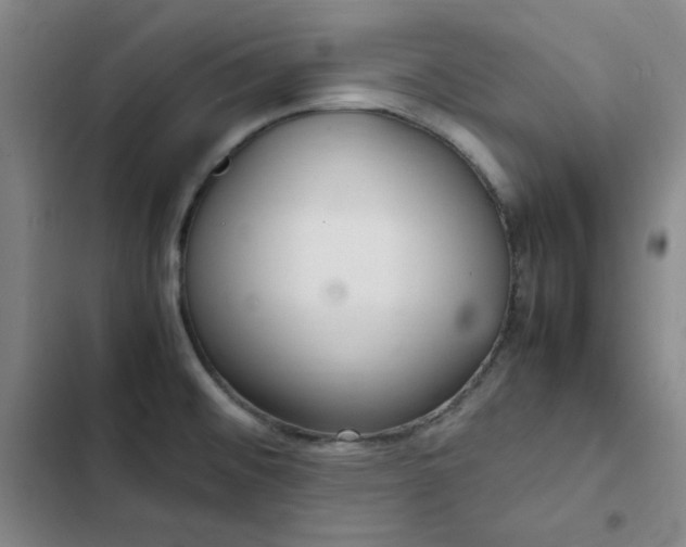 X0000102861476200808251214