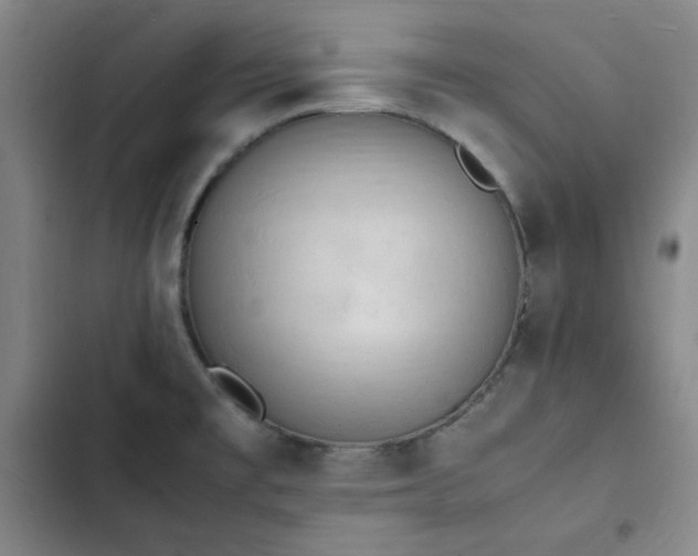 X0000102861477200808251214