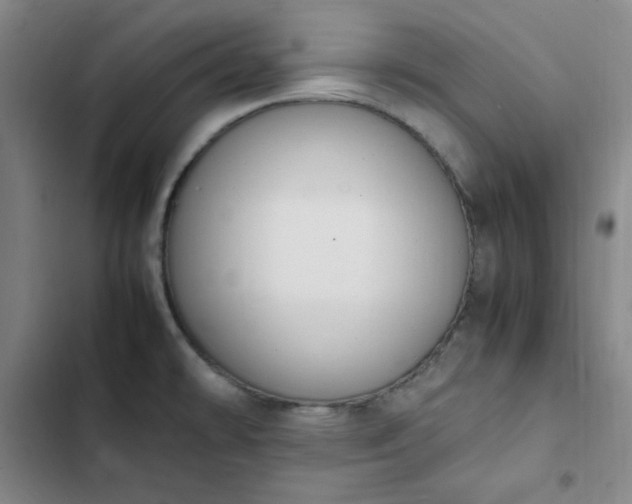 X0000102861478200808251214