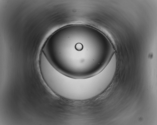 X0000102861480200808251214