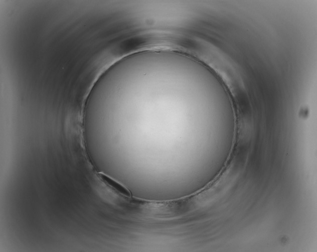 X0000102861481200808251214