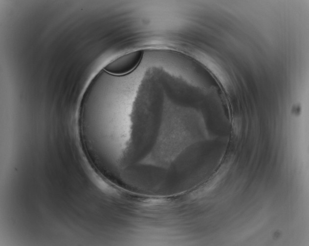 X0000102861482200808251214