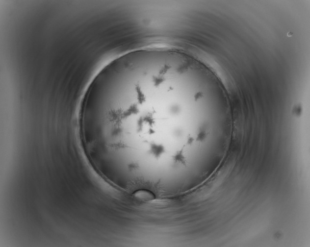 X0000102861483200808251214