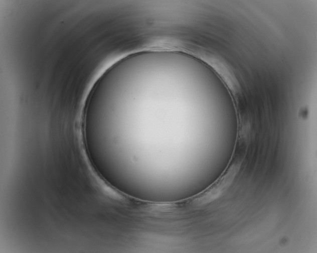 X0000102861486200808251214