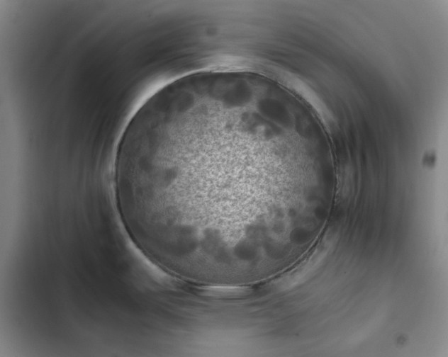 X0000102861487200808251214