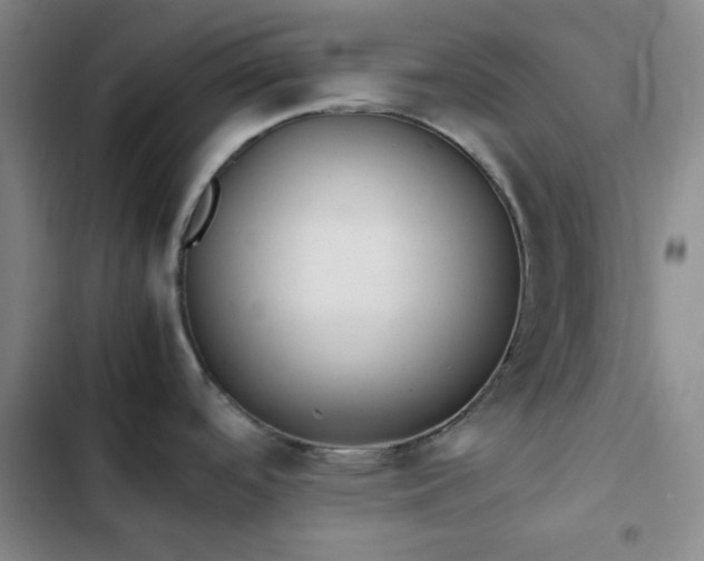 X0000102861488200808251214