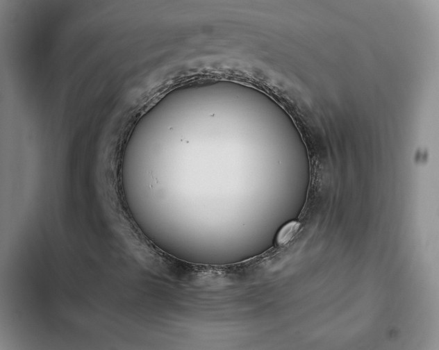 X0000102861489200808251213