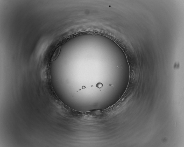 X0000102861490200808251213