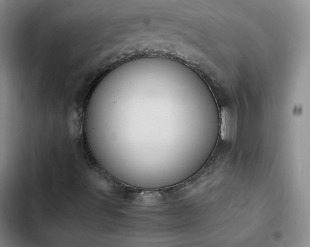 X0000102861491200808251213