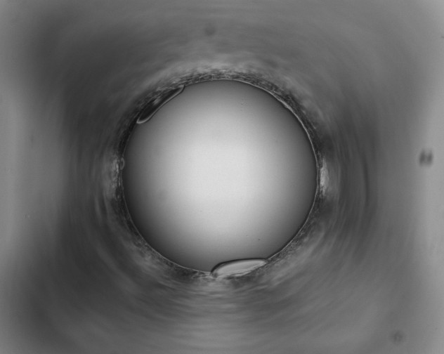 X0000102861492200808251213