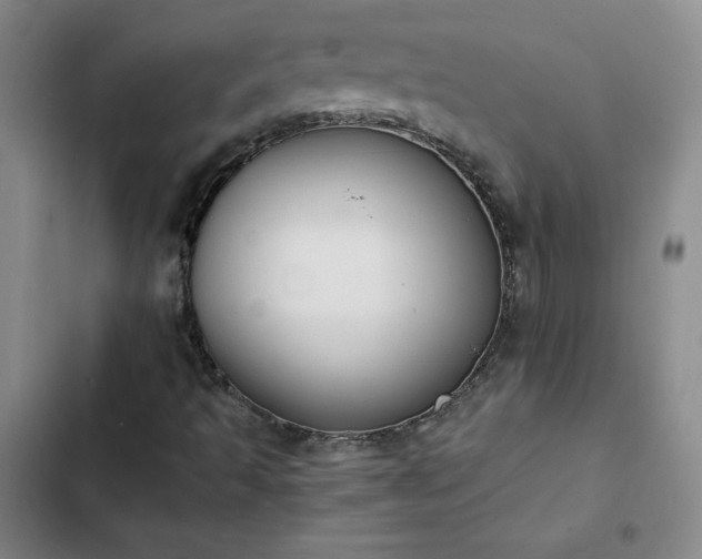 X0000102861493200808251213