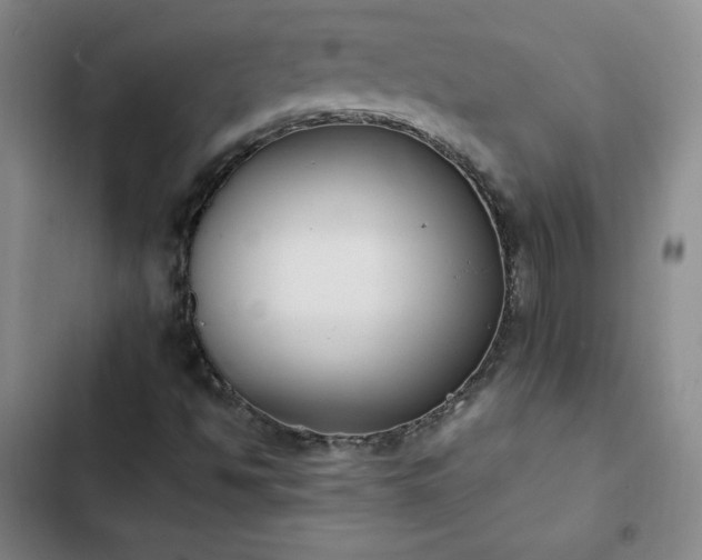 X0000102861494200808251213