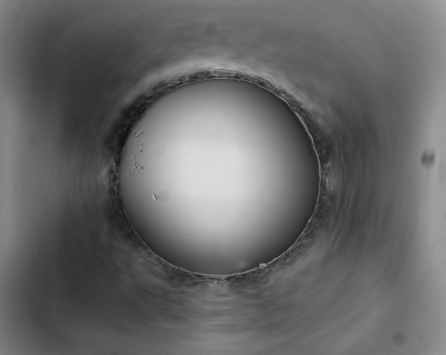 X0000102861495200808251213