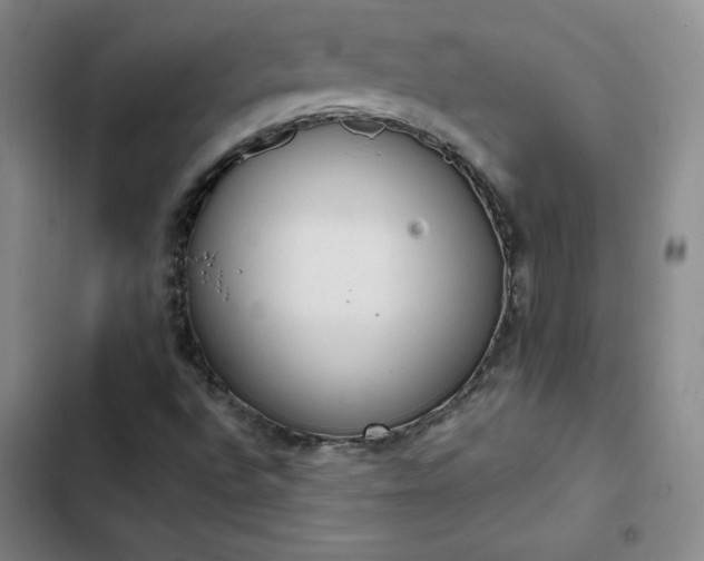 X0000102861496200808251213