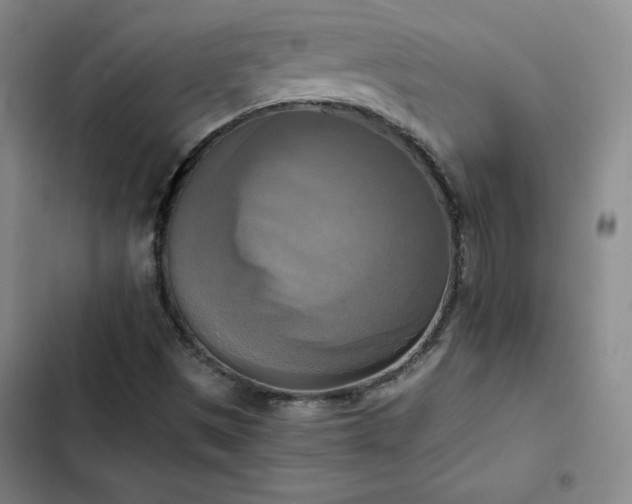 X0000102861497200808251213