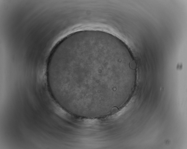 X0000102861498200808251214