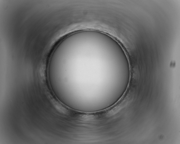 X0000102861499200808251214