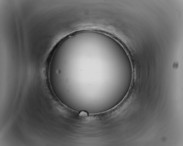 X0000102861501200808251214