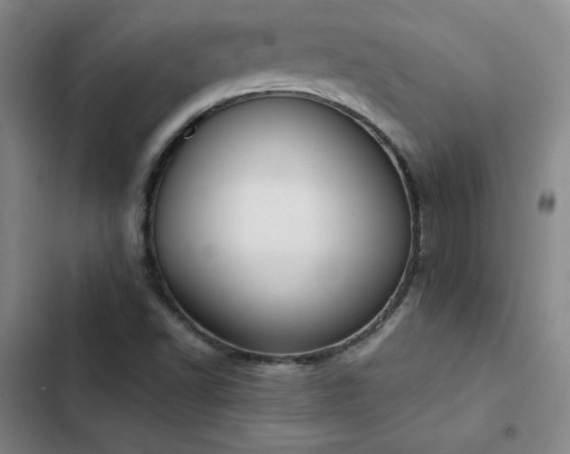 X0000102861502200808251214